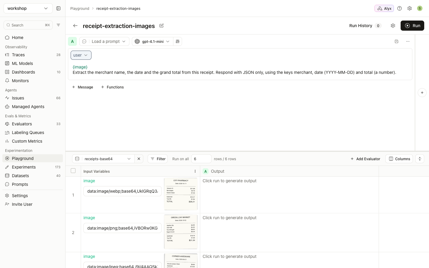 Playground with the dataset loaded and image previews